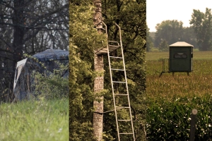 Staff Picks: The Best Ravin Crossbows for Every Hunting Style