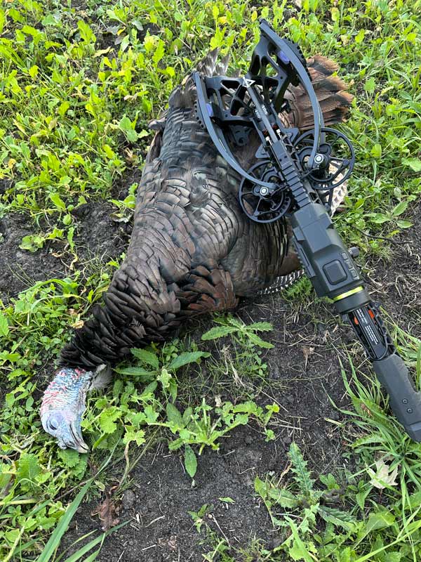 Turkey Hunt
