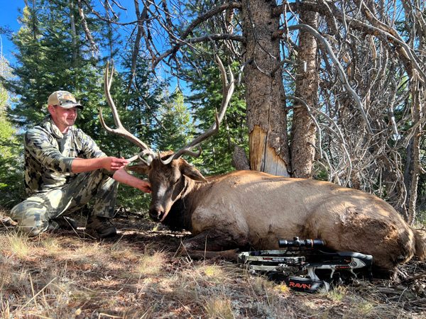 Crossbow Hunt